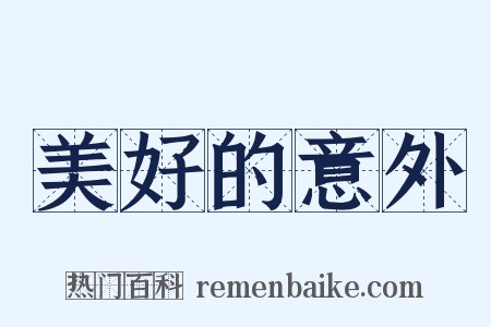 美好的意外是什么意思的图片